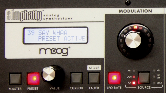 Moog detail